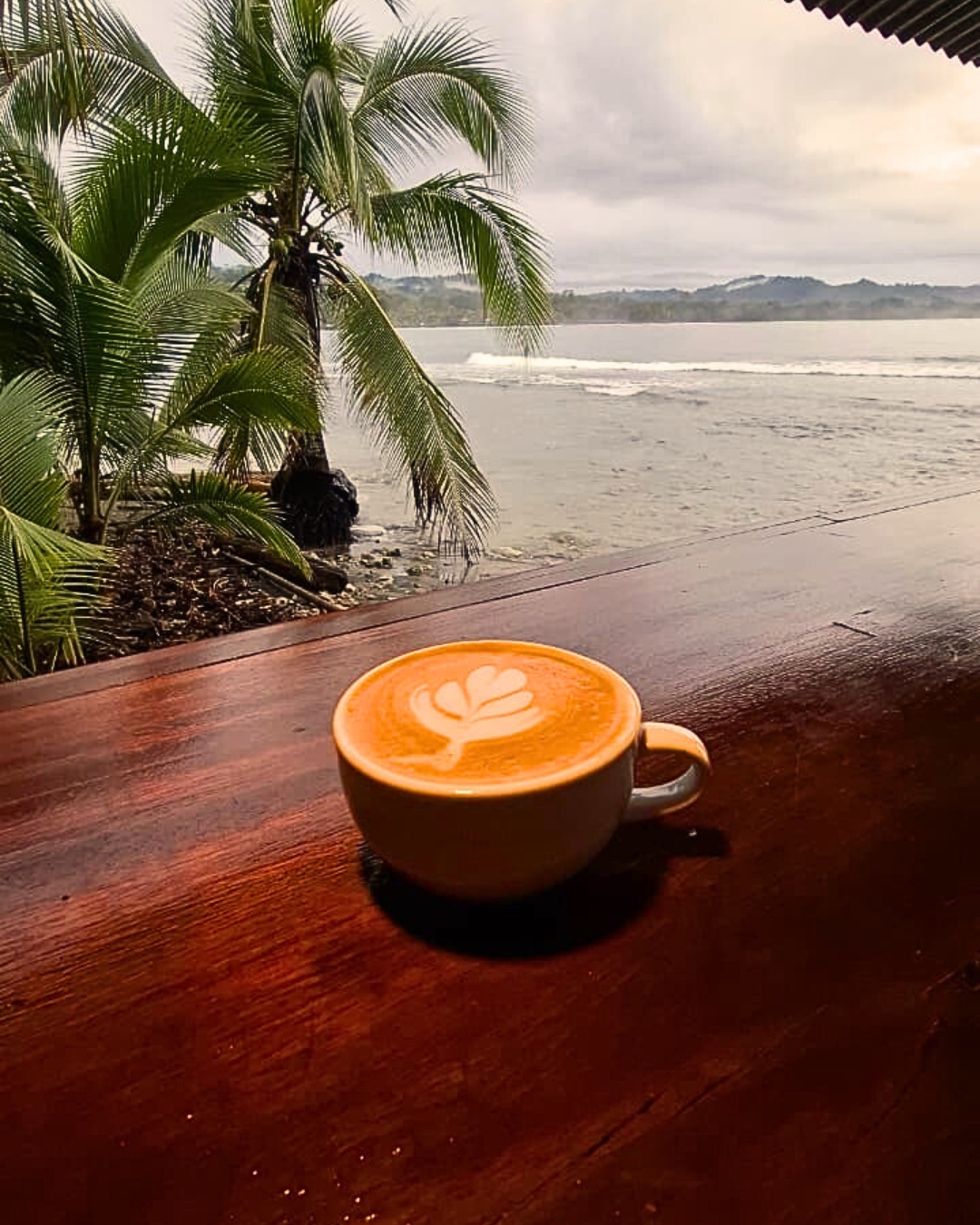 Best coffee with ocean view at Watuza cafe restaurant Puerto Viejo near MEPE bus stop
